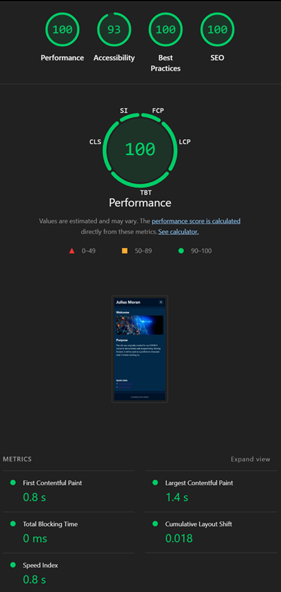 Lighthouse mobile report